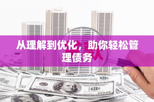 盐山从理解到优化，助你轻松管理债务