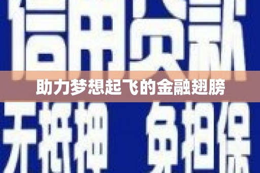 盐山助力梦想起飞的金融翅膀