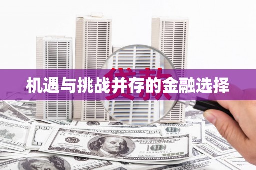 盐山机遇与挑战并存的金融选择