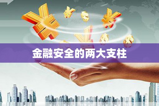 盐山金融安全的两大支柱