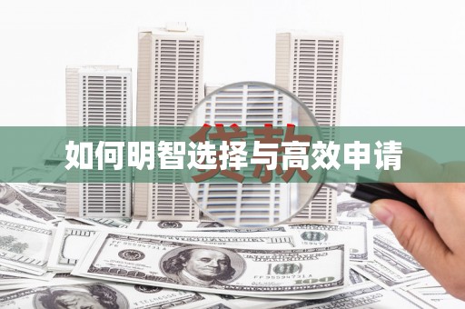 盐山如何明智选择与高效申请
