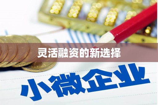 盐山灵活融资的新选择