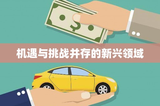 盐山机遇与挑战并存的新兴领域