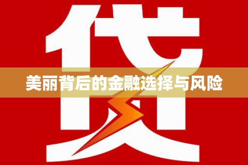 盐山美丽背后的金融选择与风险