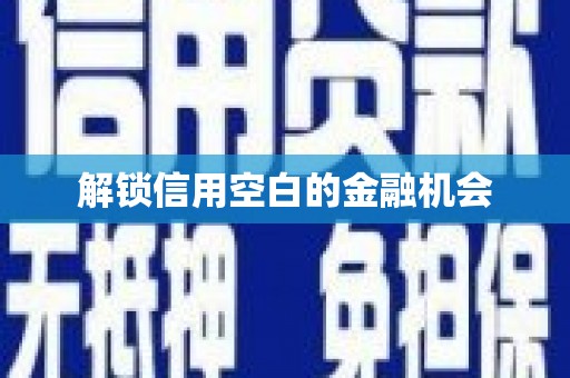 盐山解锁信用空白的金融机会