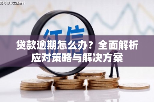 盐山贷款逾期怎么办？全面解析应对策略与解决方案