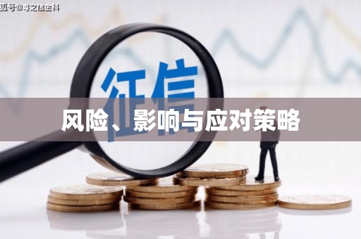 盐山风险、影响与应对策略