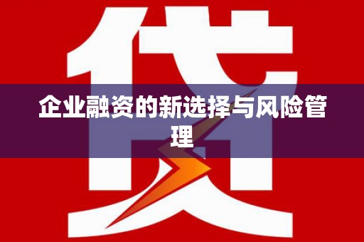 盐山企业融资的新选择与风险管理