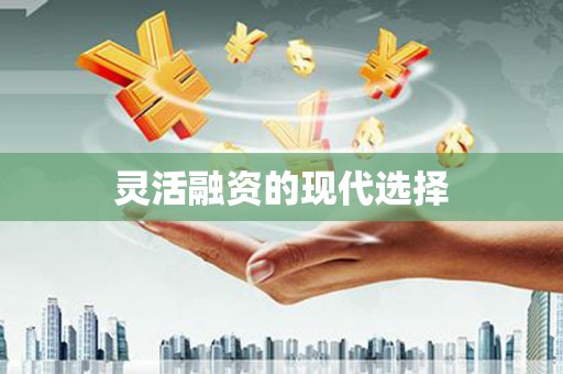 盐山灵活融资的现代选择