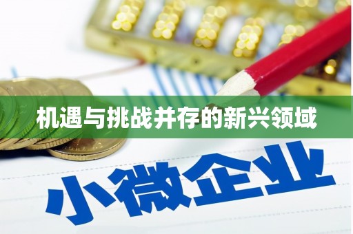 盐山机遇与挑战并存的新兴领域