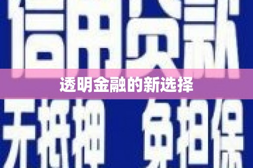 盐山透明金融的新选择