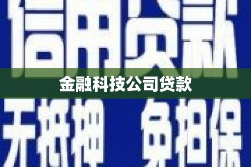 盐山金融科技公司贷款