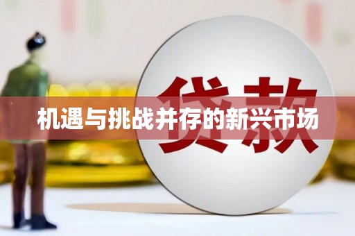 盐山机遇与挑战并存的新兴市场