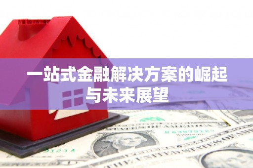 盐山一站式金融解决方案的崛起与未来展望