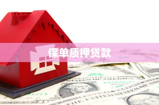 盐山保单质押贷款