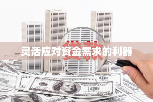 盐山灵活应对资金需求的利器