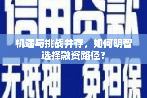 盐山机遇与挑战并存，如何明智选择融资路径？