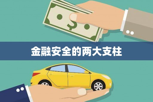 盐山金融安全的两大支柱