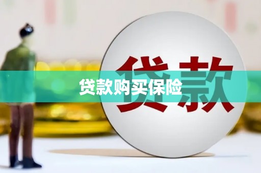 盐山贷款购买保险