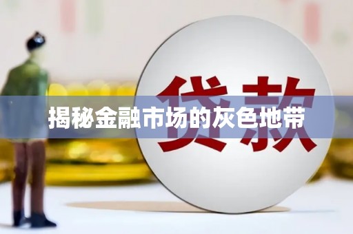 盐山揭秘金融市场的灰色地带