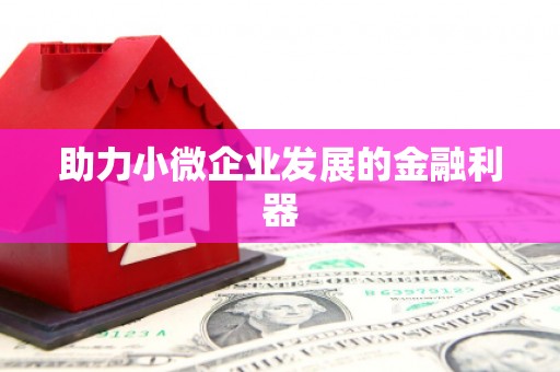 盐山助力小微企业发展的金融利器