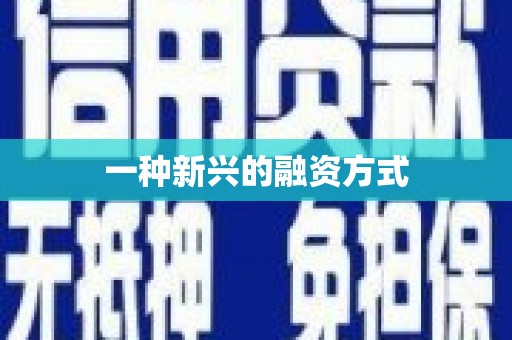 盐山一种新兴的融资方式