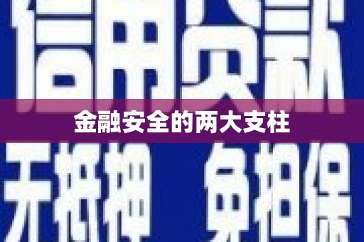 盐山金融安全的两大支柱