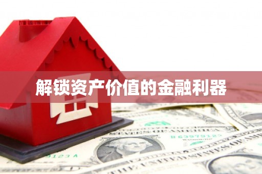 盐山解锁资产价值的金融利器