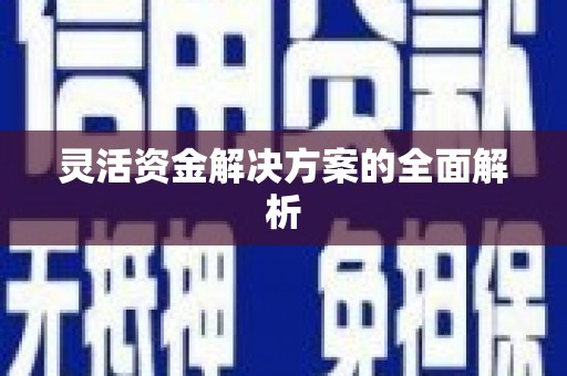 盐山灵活资金解决方案的全面解析
