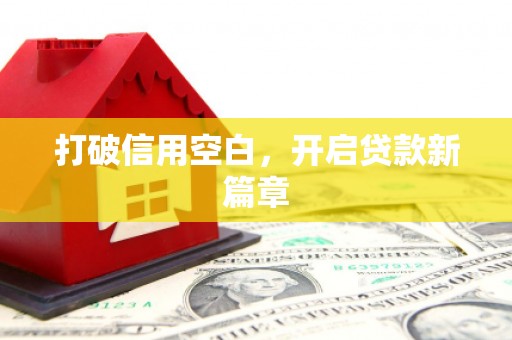 盐山打破信用空白，开启贷款新篇章