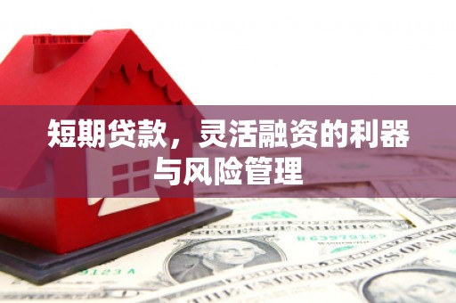 盐山短期贷款，灵活融资的利器与风险管理