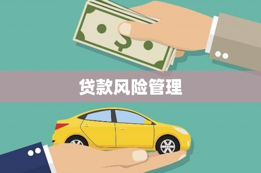 盐山贷款风险管理
