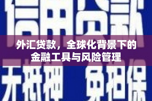 盐山外汇贷款，全球化背景下的金融工具与风险管理