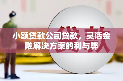 盐山小额贷款公司贷款，灵活金融解决方案的利与弊