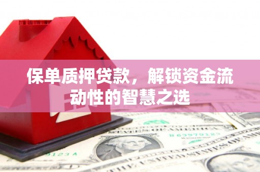 盐山保单质押贷款，解锁资金流动性的智慧之选