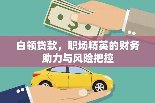 盐山白领贷款，职场精英的财务助力与风险把控