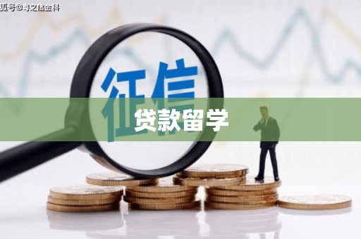 盐山贷款留学