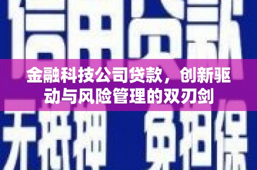 盐山金融科技公司贷款，创新驱动与风险管理的双刃剑