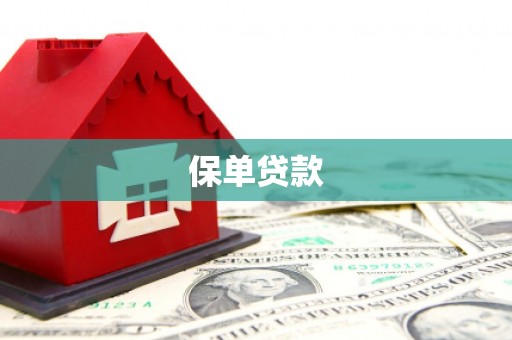 盐山保单贷款